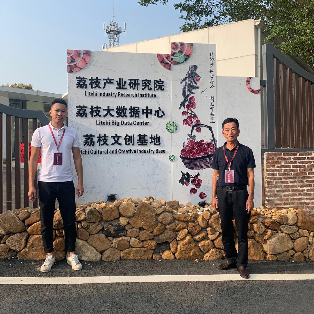崔哲浩凤山红灯笼