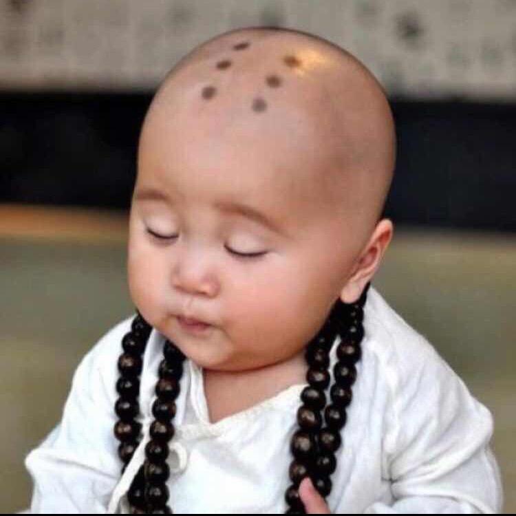 摸了青物白物