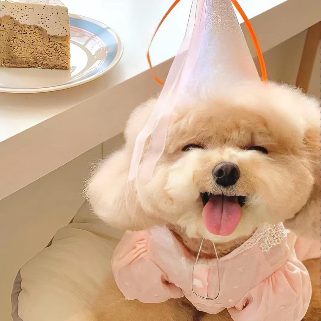 ༚哆⃐ൢ来⃐ൢ咪⃐ൢ°