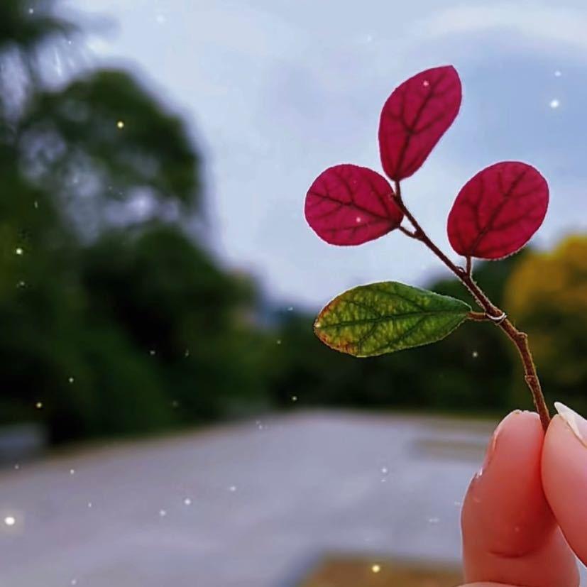 雨欣