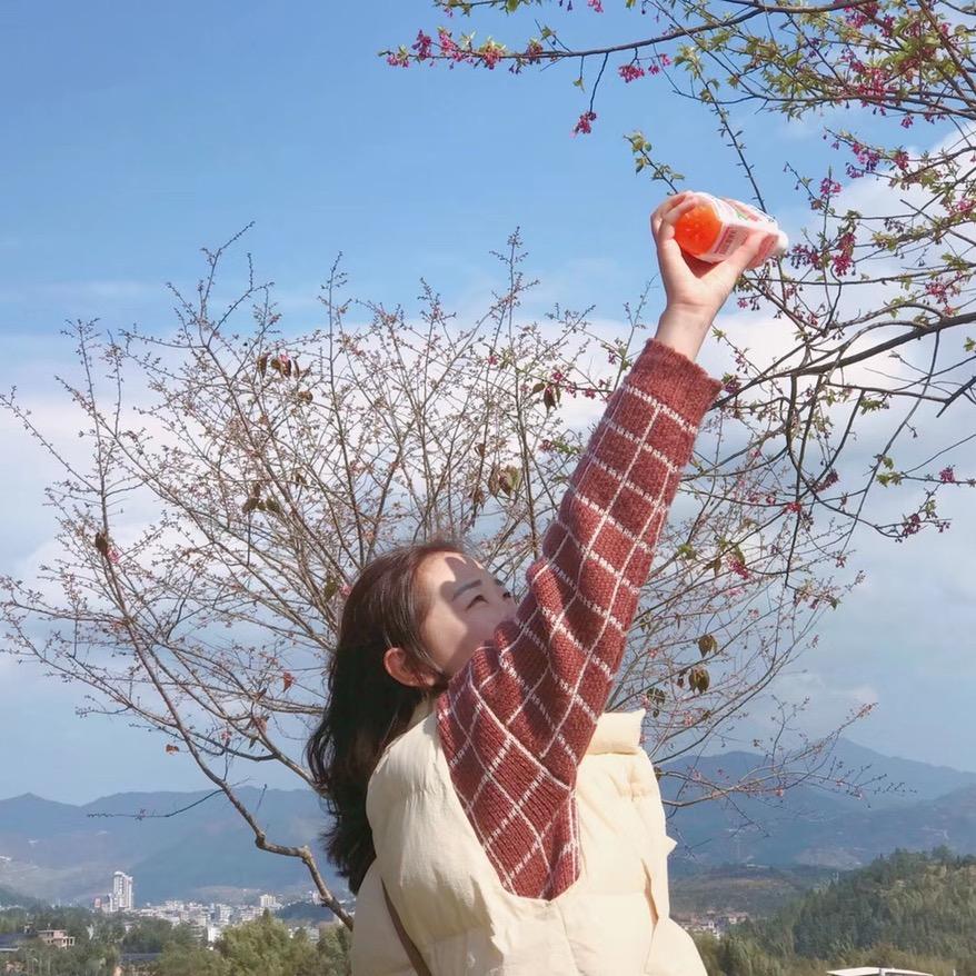 慕花轩