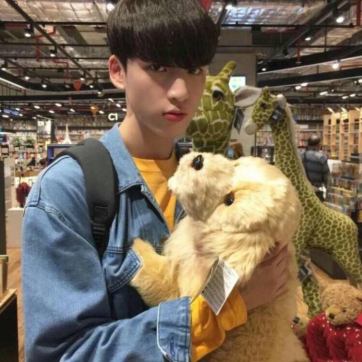 顺手牵🐑
