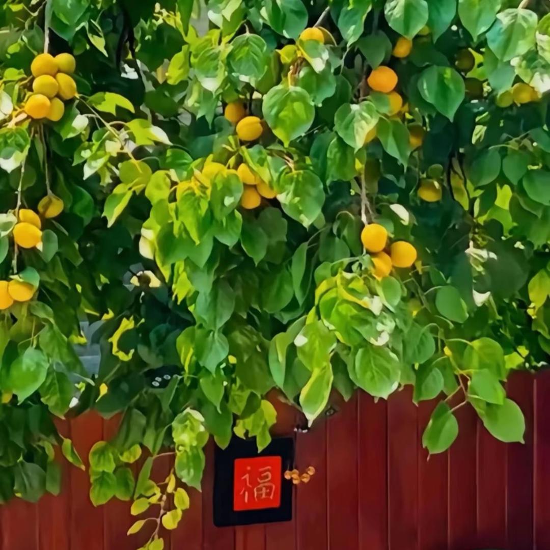 如意～