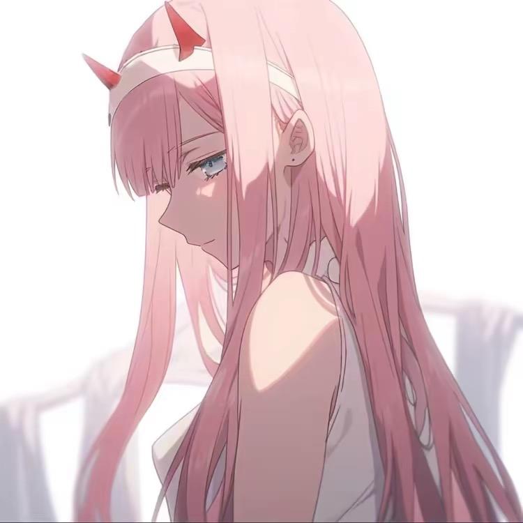 鲨鱼女王S