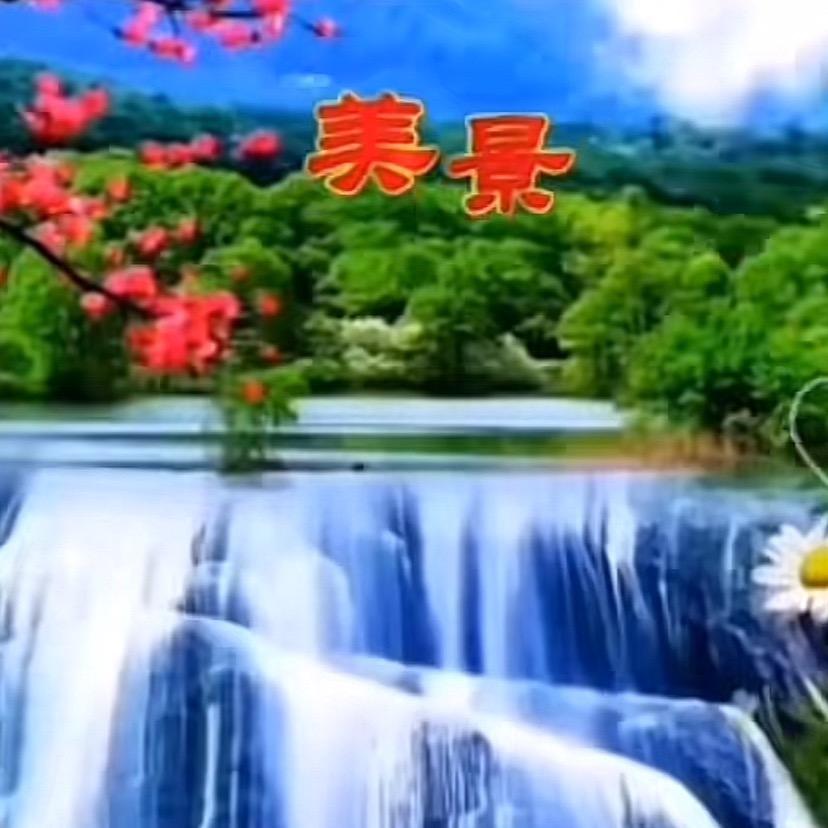 灿烂的阳光