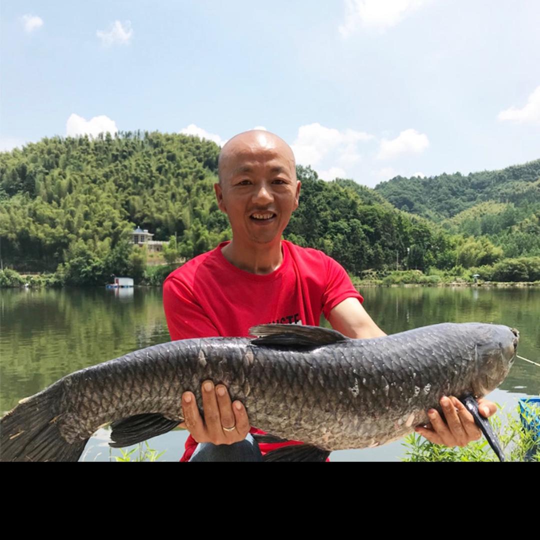 钓三江亮哥爱钓鱼