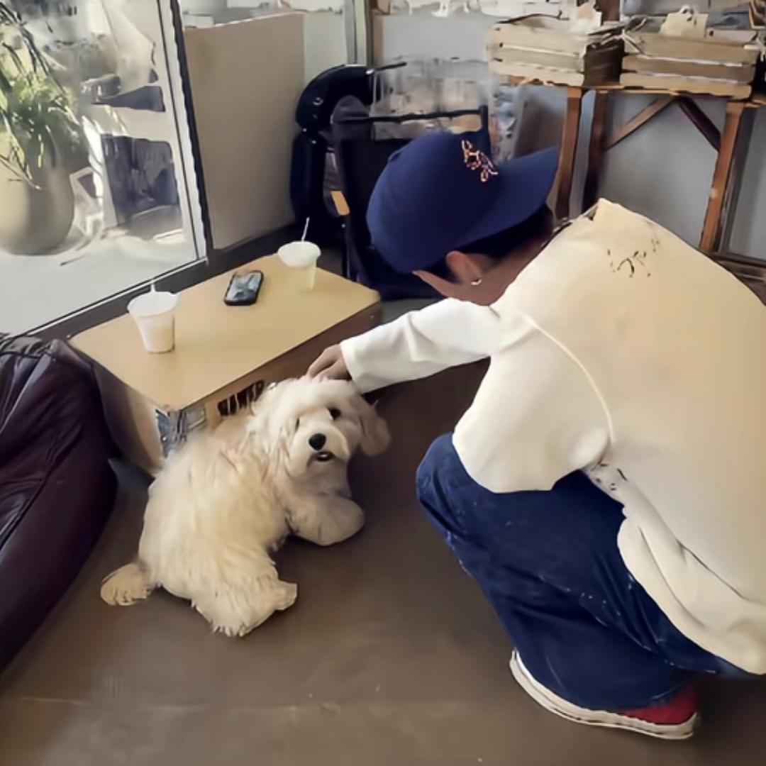 树梢穿搭