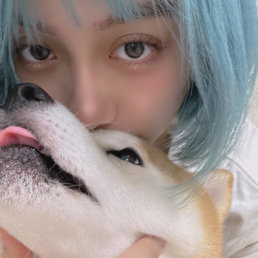 柴犬嘻嘻