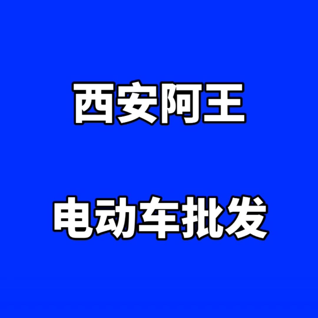 西安阿王电动车批发零售