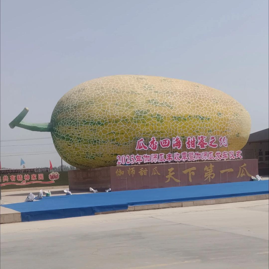 新疆哈密瓜明日达