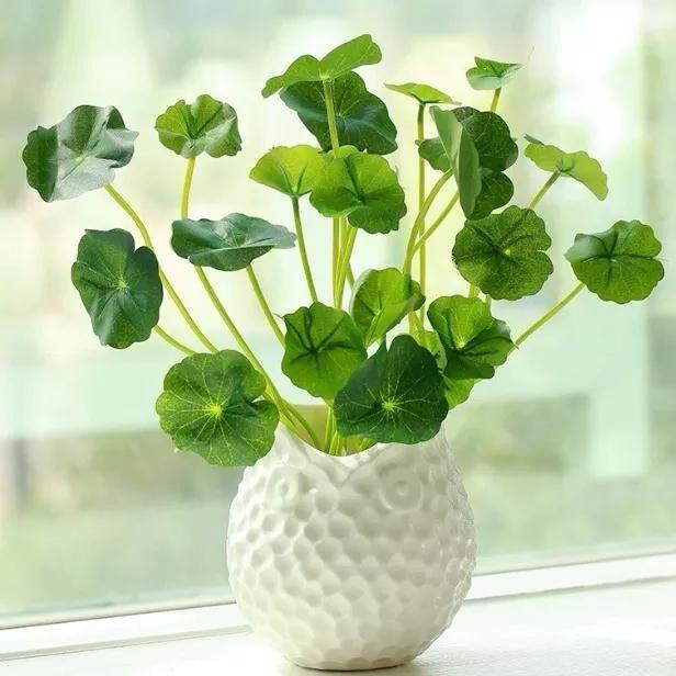 花海