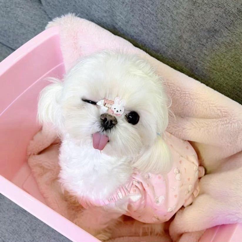 小萱xuan