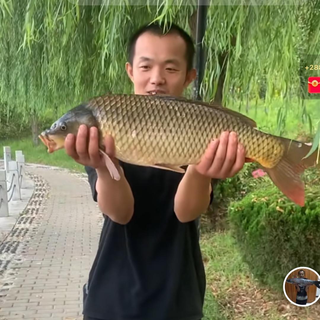 小猴百货