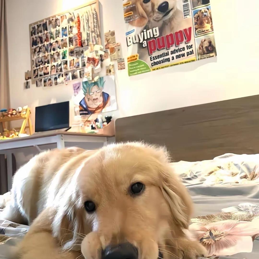 爱吃火鸡面