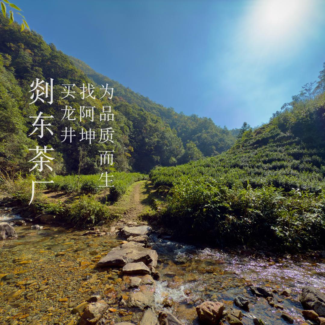 阿坤茶叶 ( 剡东茶厂/ 自有SC ）