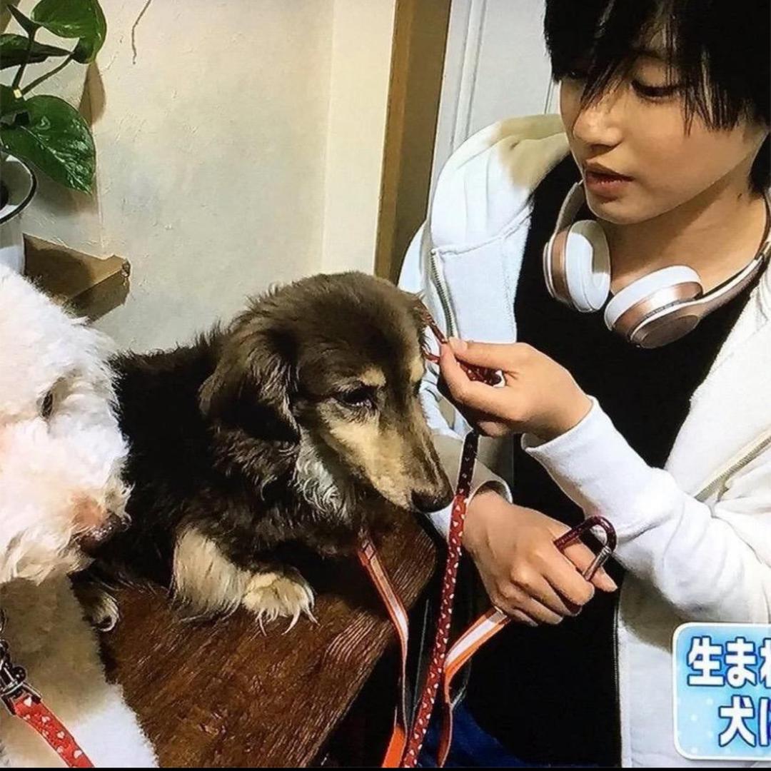 睡觉的时候不困