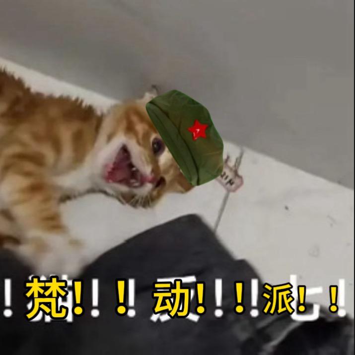 猫反七还我命来