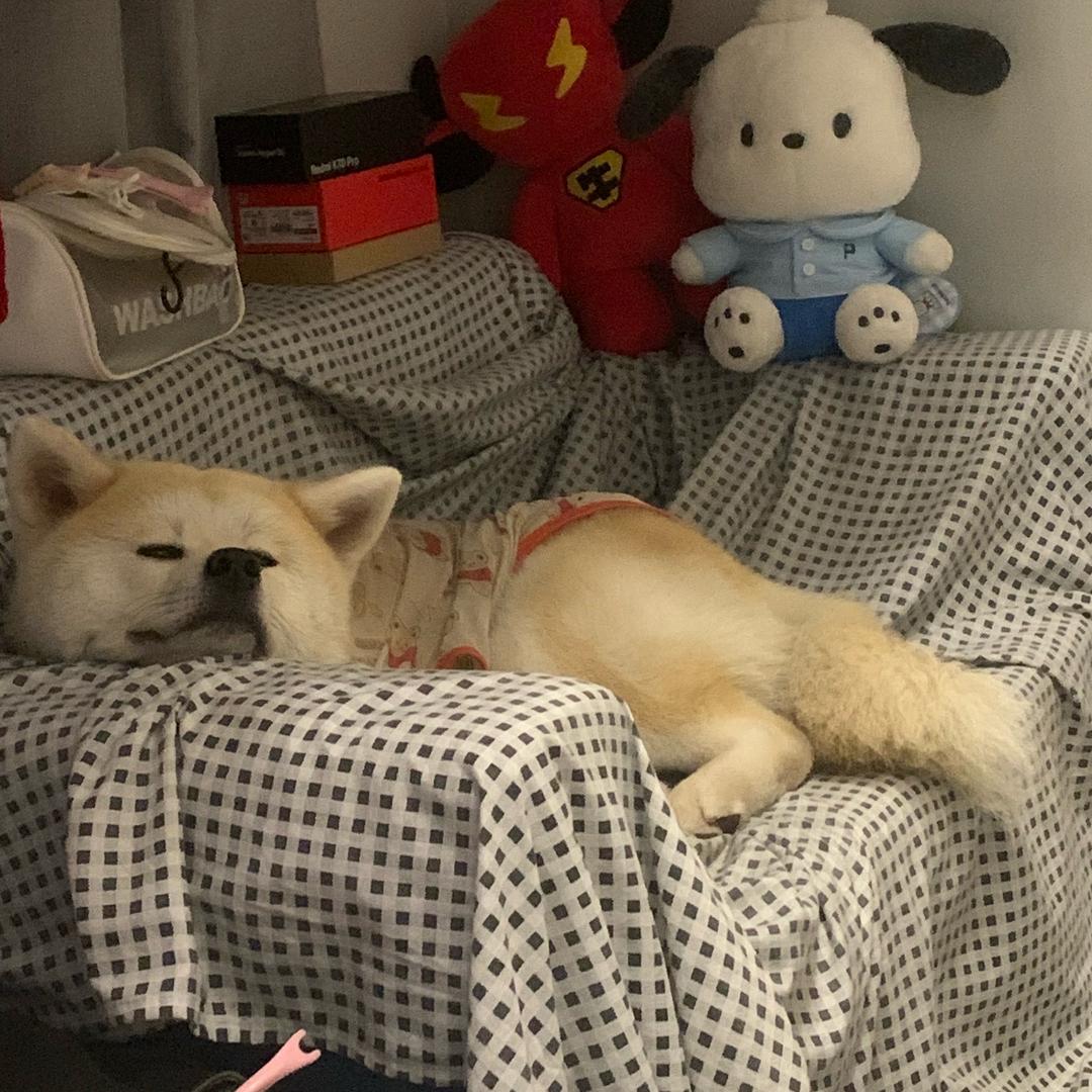 秋田桑～