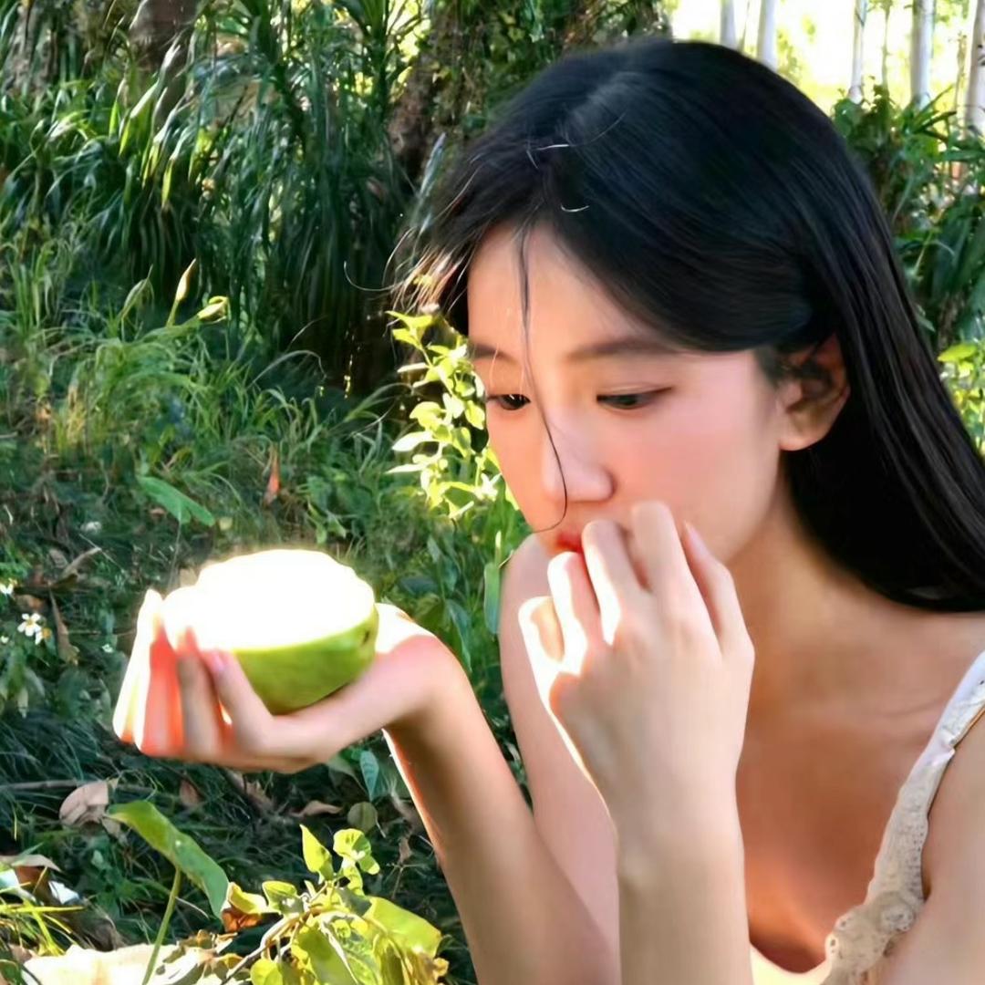 Y-滢帆