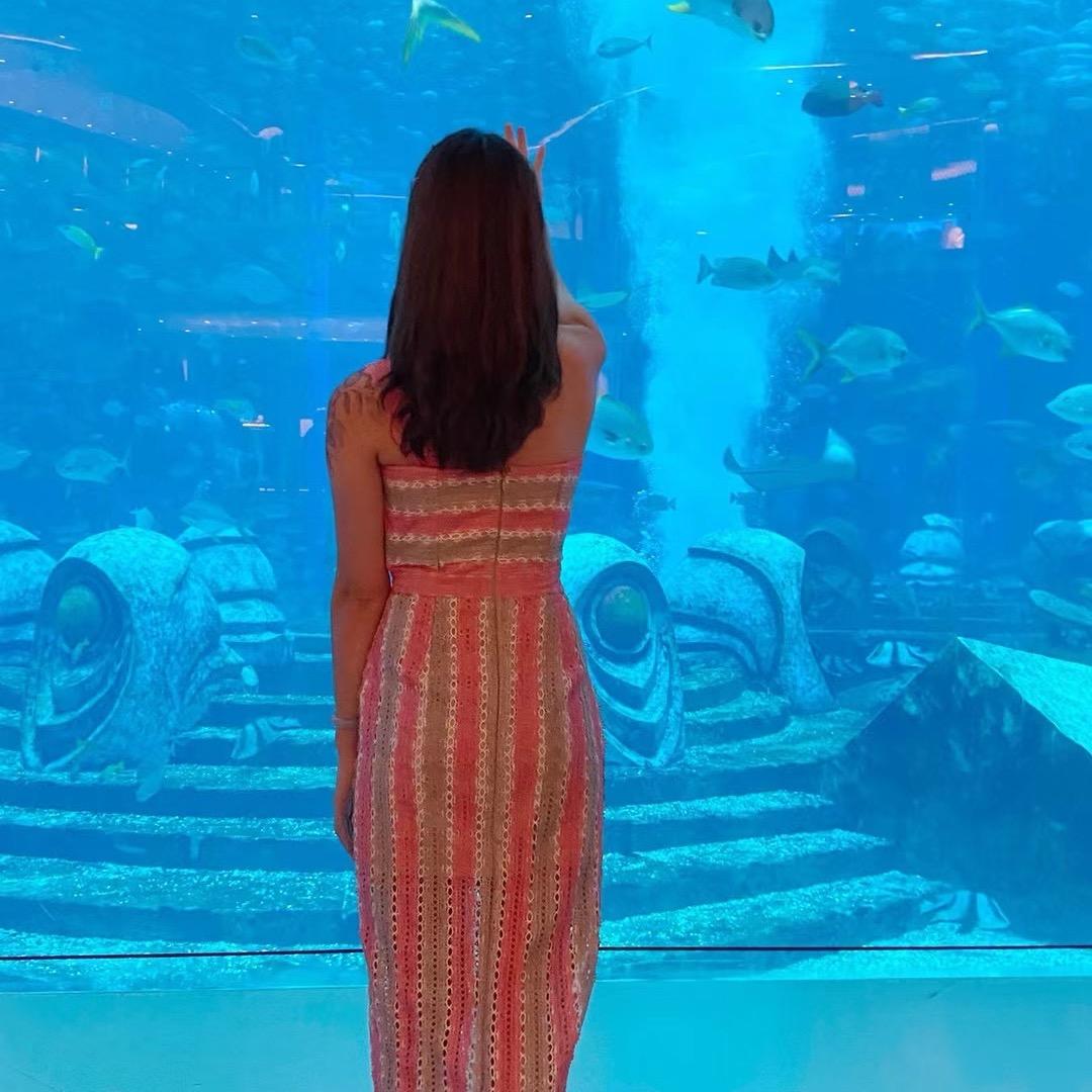 闪闪✨