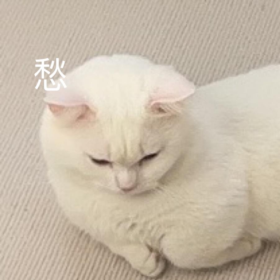 只喝黑咖