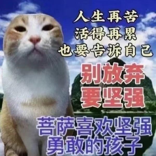 48岁冷艳少妇