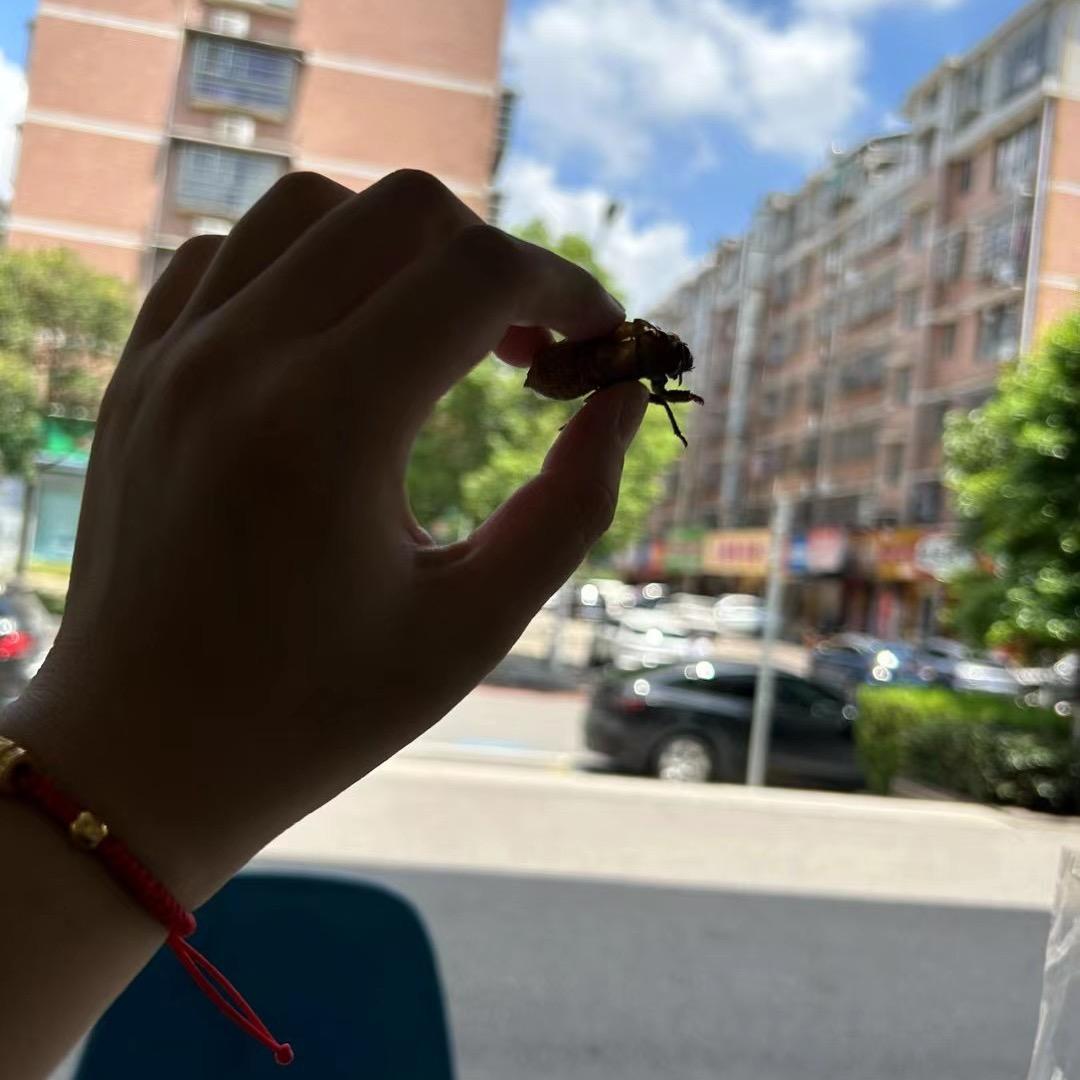 河图。