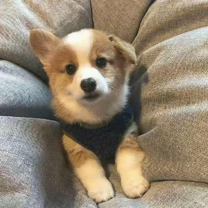 koooo🧂