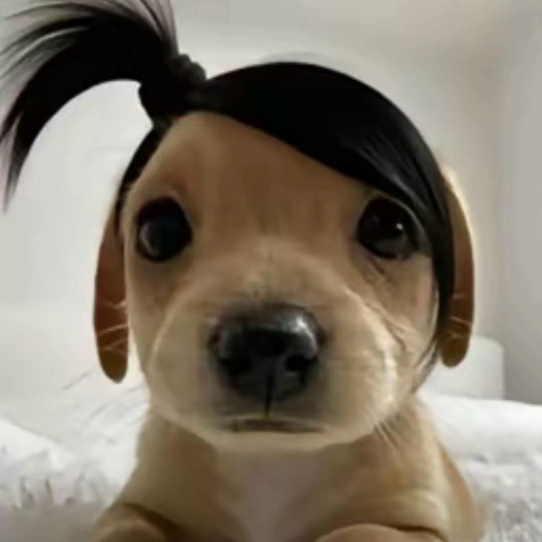 感于#