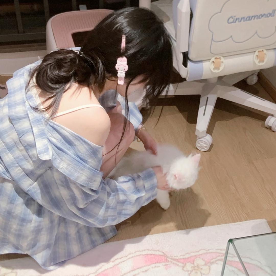 兔兔酱