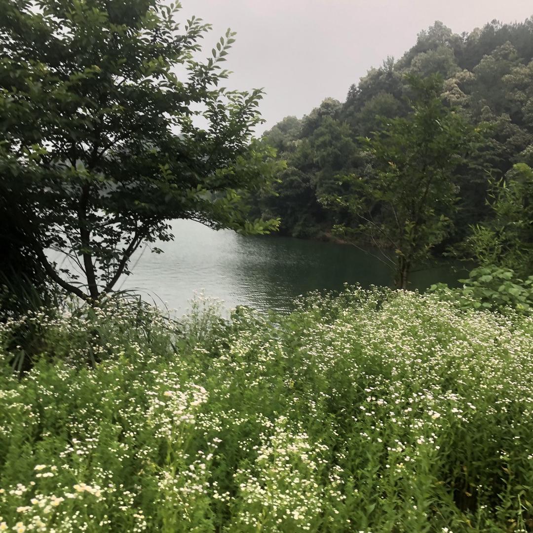 凡圣