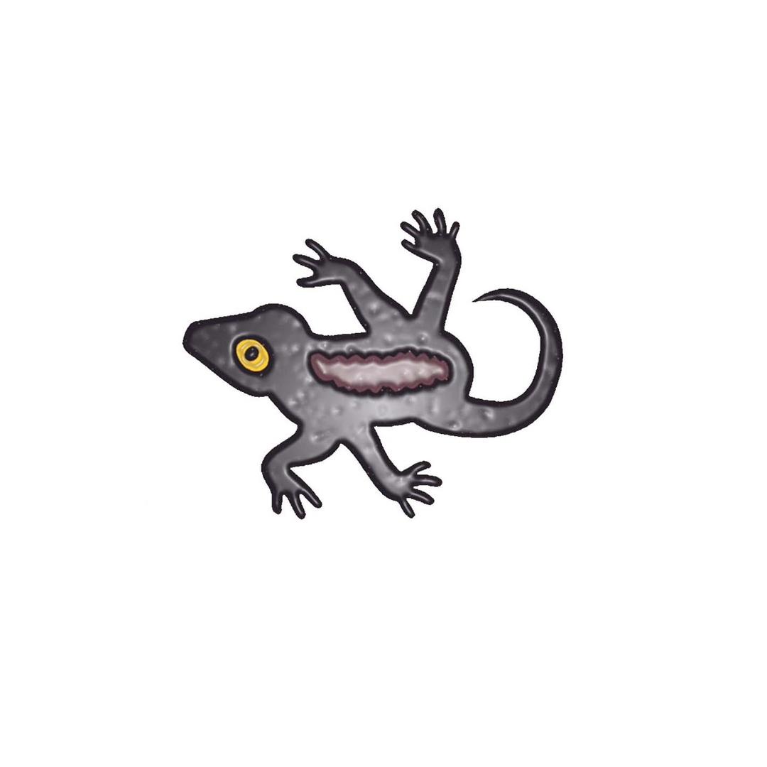 Herry Gecko
