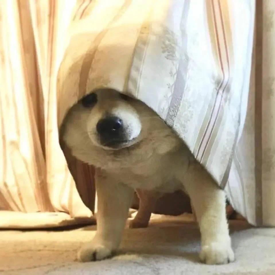 避讳