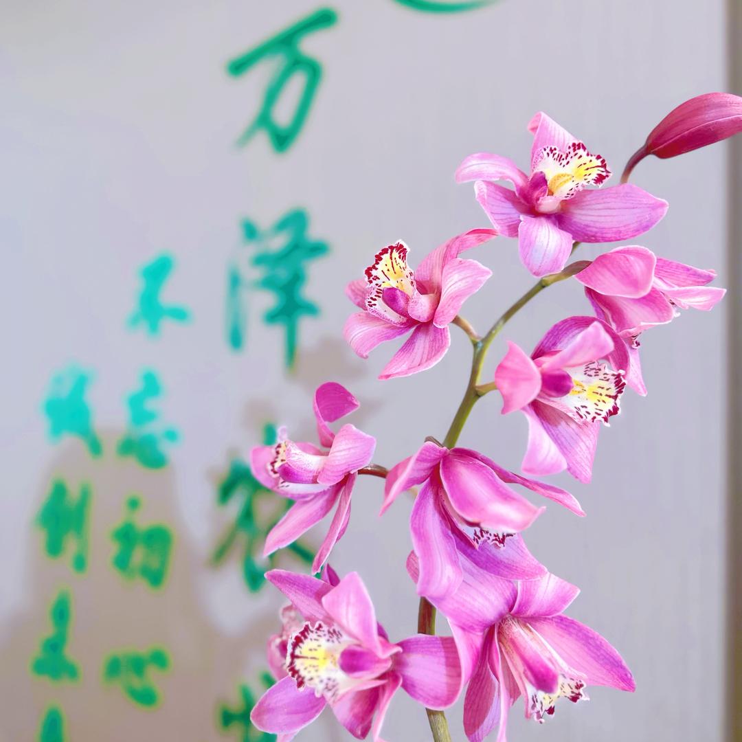 喜花仕园艺