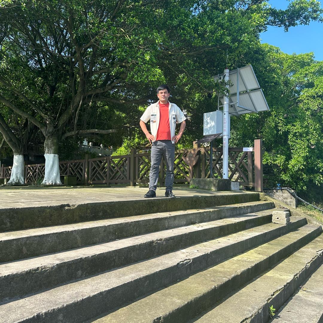 我们批发小鸡