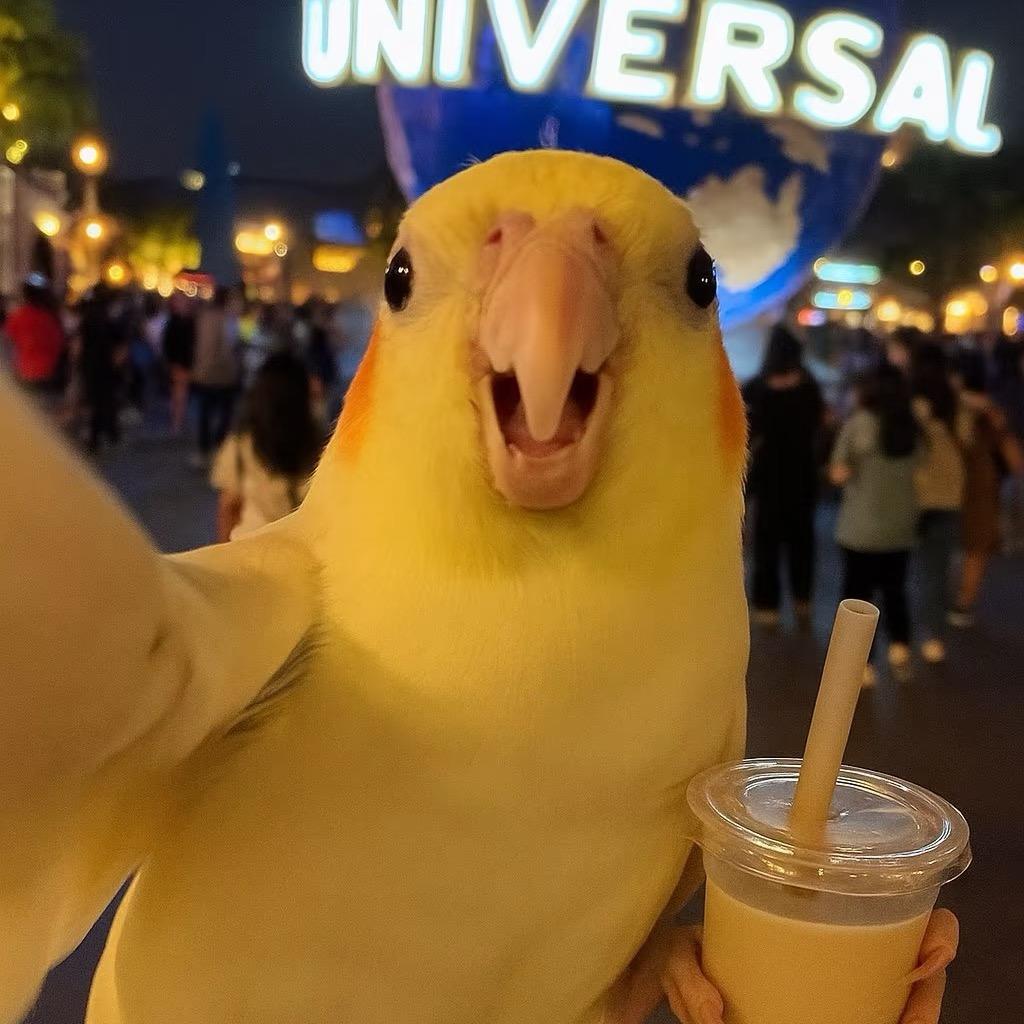 Lulu_