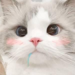 自然醒