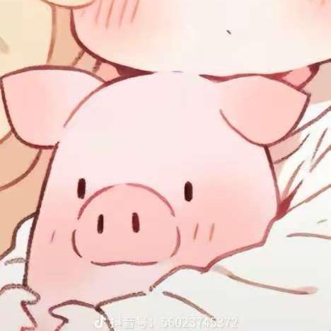 舟舟叙