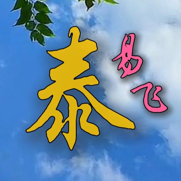 泰易飞📷