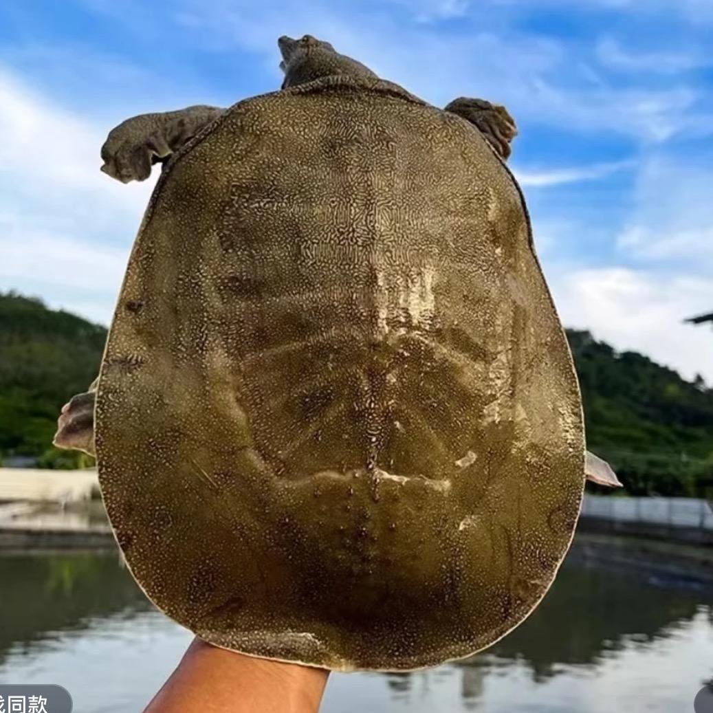 小雨家生鲜