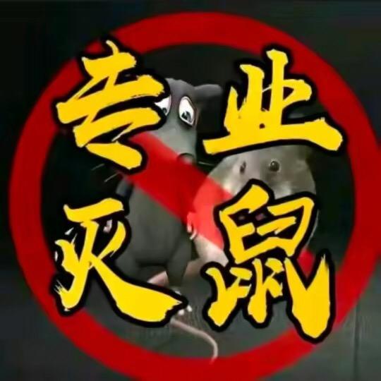 灭鼠哥
