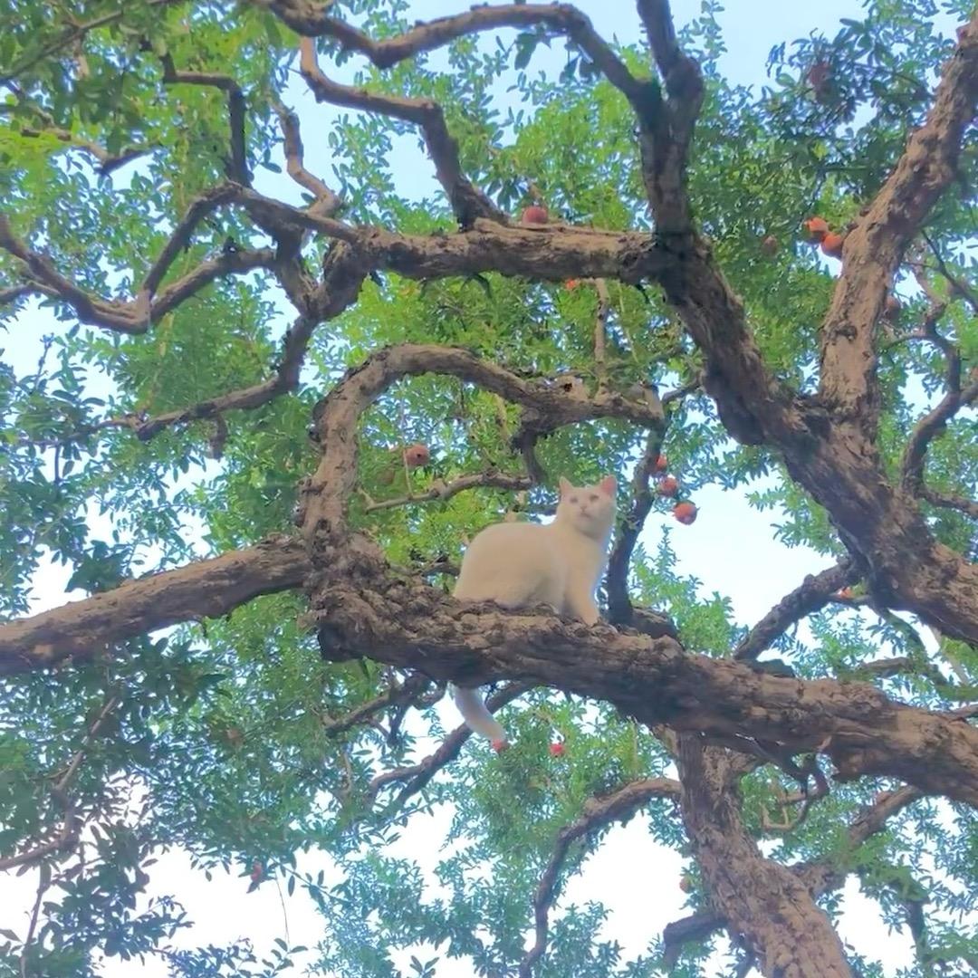 不知春