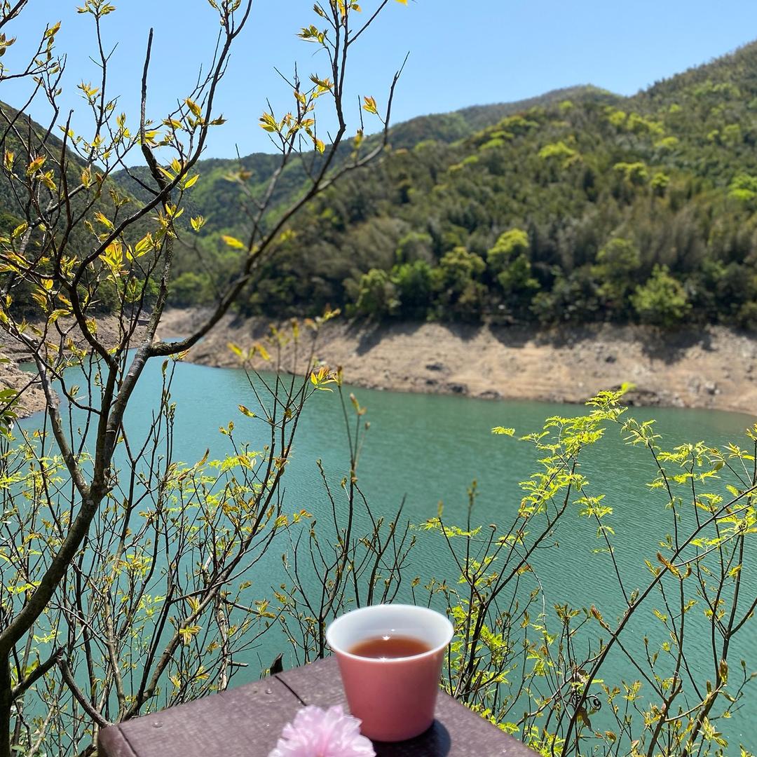 如是