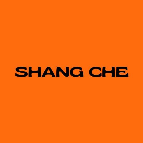 上掣摩托车装备