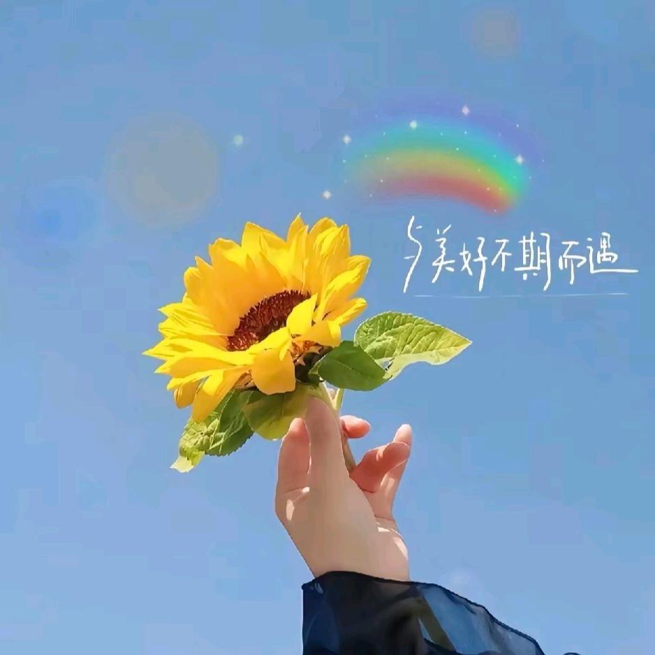 禅音