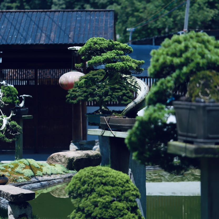 三十三松堂-三号店