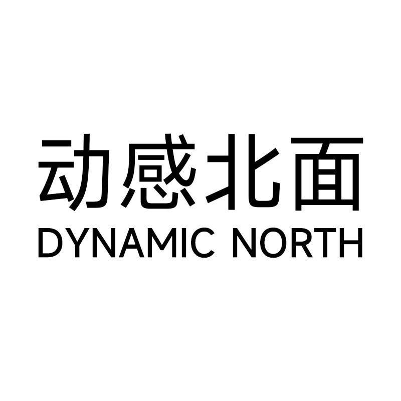 动感北面DYNAMIC NORTH潮牌店