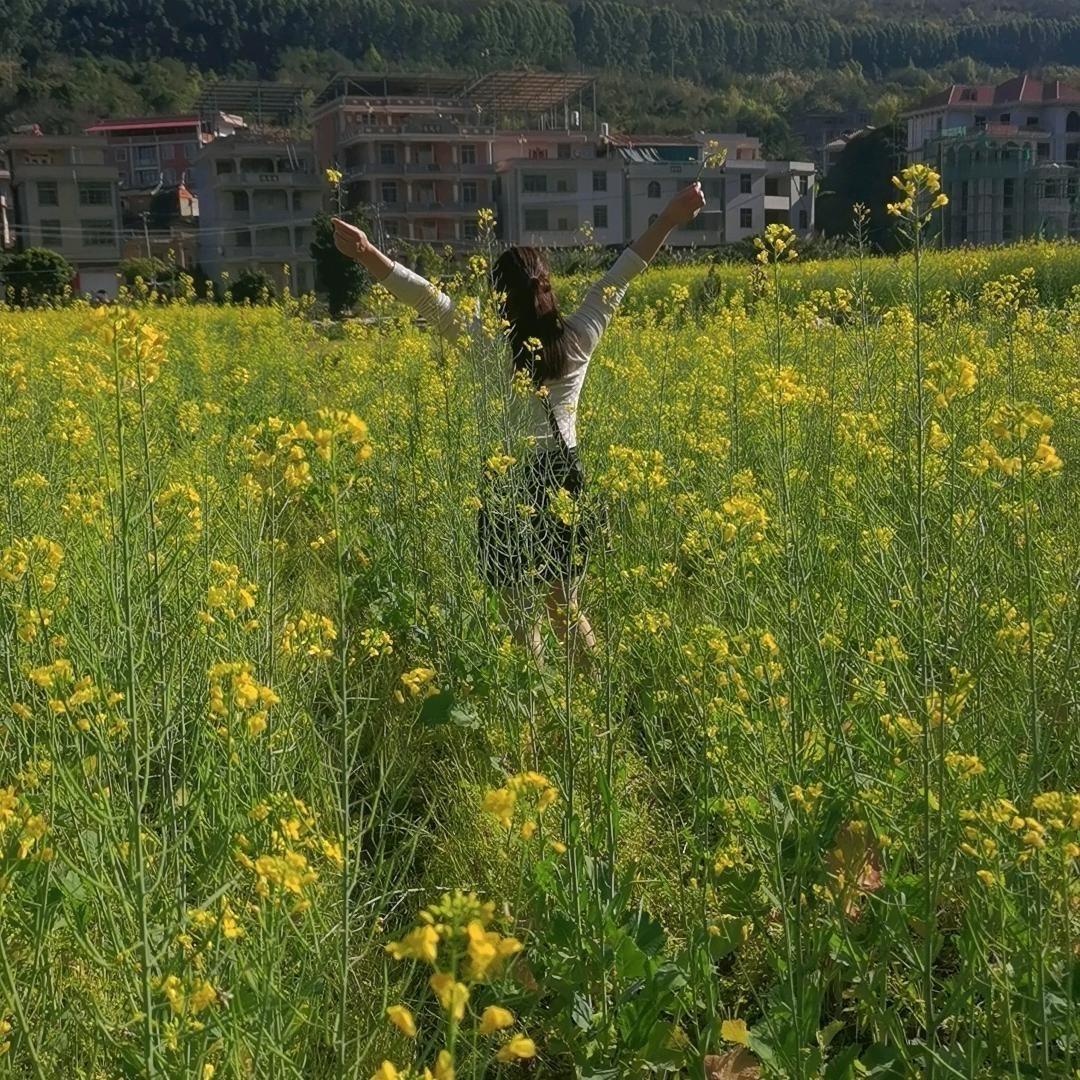 懂小茶妹子