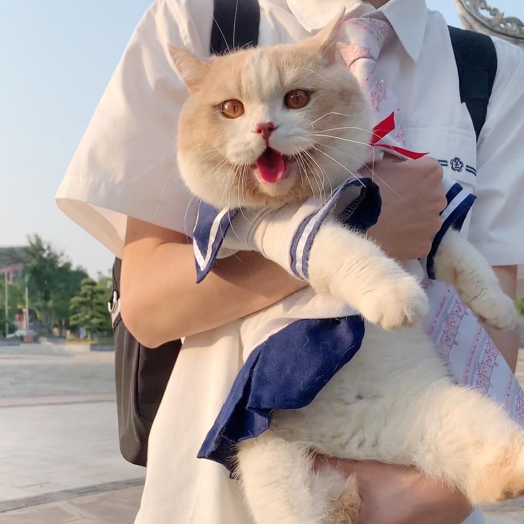 小山胖的甜蜜时光