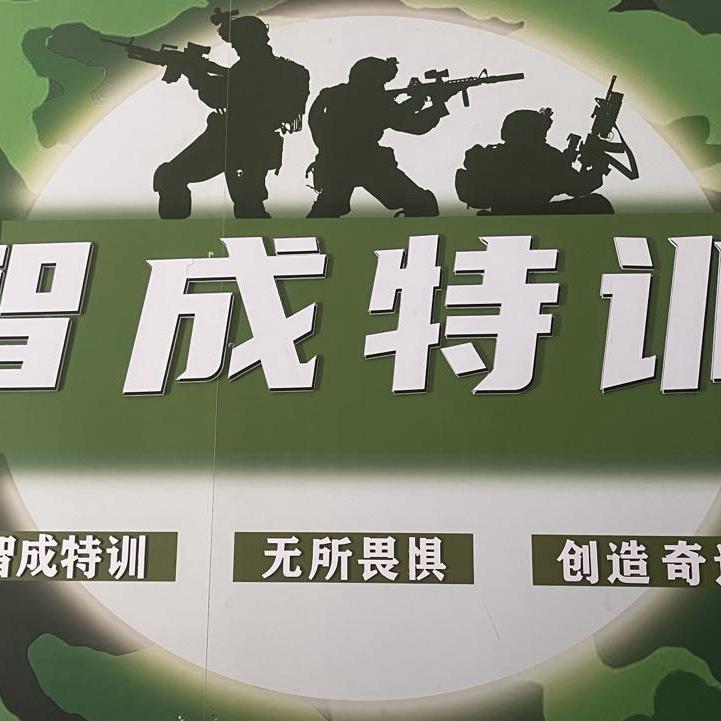 智成特训（夏令营）